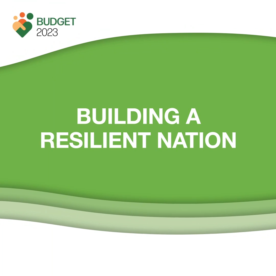 Building a Resilient Nation
