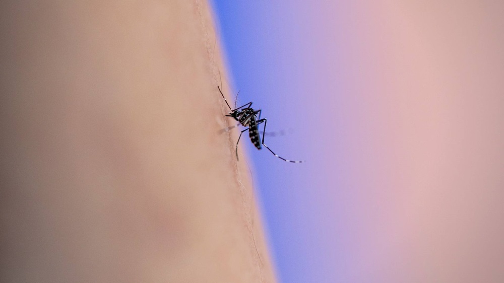 Warning signs that your dengue infection is getting worse