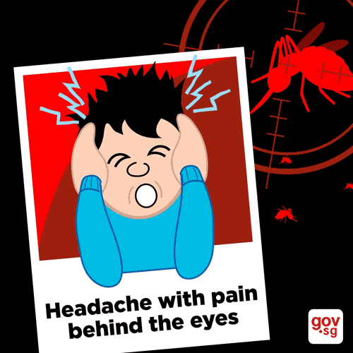 Know your dengue symptoms