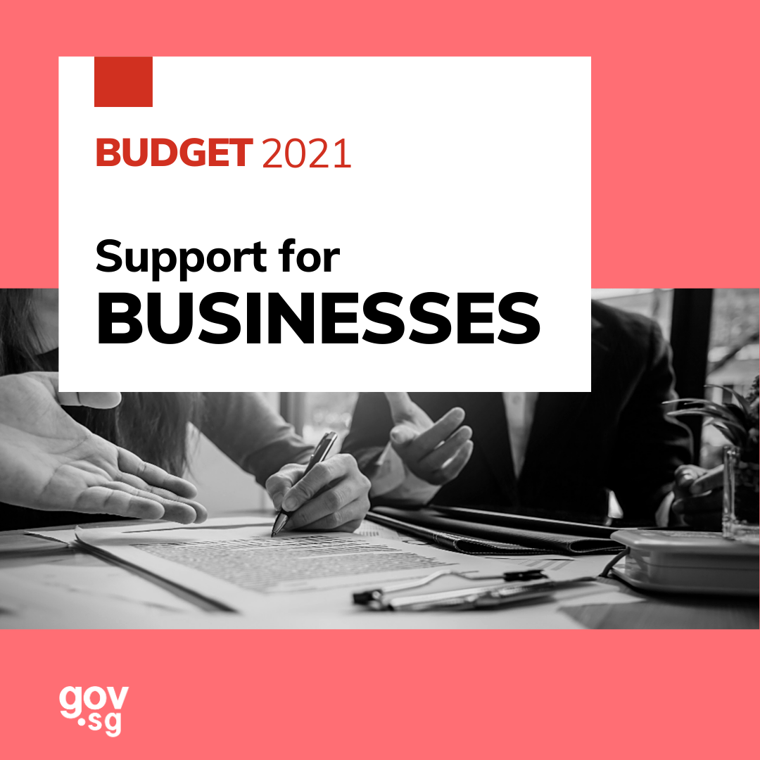 For Businesses - Budget 2021