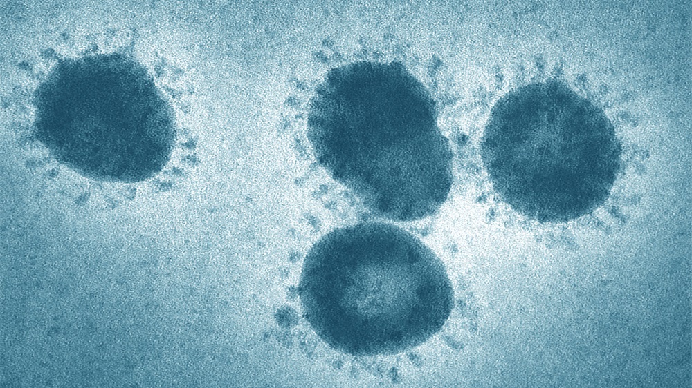 What is the Coronavirus disease 2019?